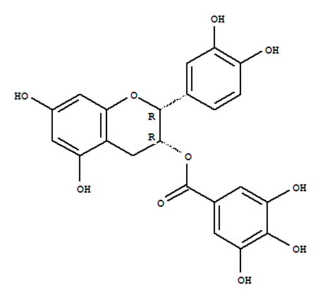 表兒茶素沒(méi)食子酸酯; ECG