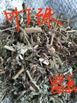 葉下珠提取物 多種規(guī)格 昌岳生物現(xiàn)貨包郵