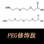 引入疊氮、炔基、烯基結構的肽段及點擊化學運用