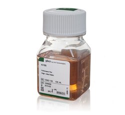 Fetal Bovine Serum, certified, heat inactivated, US origin主圖