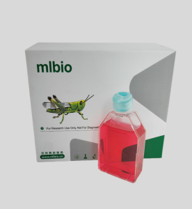 Neuro-2a小鼠腦神經(jīng)瘤細(xì)胞主圖