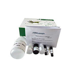 Alanopine脫氫酶 (ADH)活性測定試劑盒分光法/48樣主圖