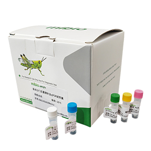 人類嗜T淋巴細胞病毒1型探針法qRT-PCR試劑盒(不含內(nèi)參)主圖