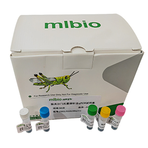 中間型白喉棒桿菌探針法qPCR試劑盒(不含內參)主圖