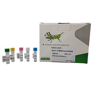 腦膜炎奈瑟菌Y群探針法qPCR試劑盒(不含內參)主圖