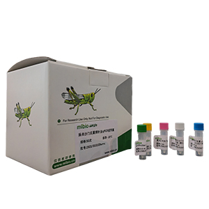 多糖奈瑟球菌探針法qPCR試劑盒(不含內(nèi)參)主圖