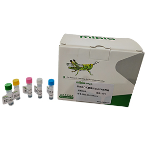 人免疫缺陷病毒1型M群探針法qRT-PCR試劑盒(不含內(nèi)參)主圖